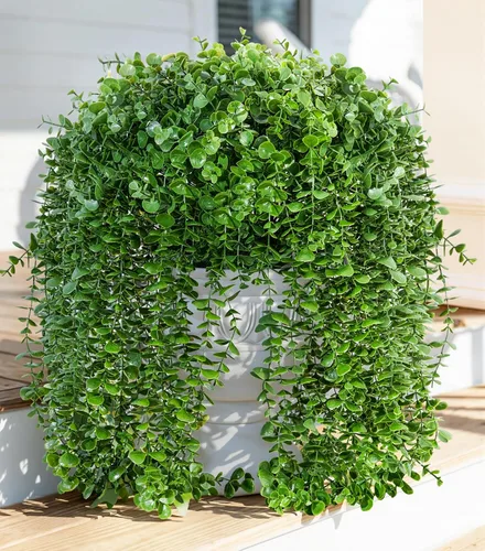 Vista 22 de Tallos de cedro artificiales Ivydale, ramas de pino Norfolk artificiales para decoración de Navidad, 12 tallos de pino falsos con 2 ramas de conos