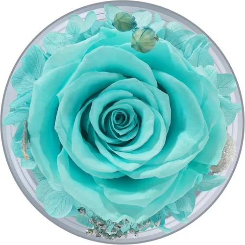 Vista 8 de Sunia Regalos para mamá, regalos de cumpleaños para mujeres, rosas reales preservadas en figura de ángel de cristal, flores eternas para la entrega
