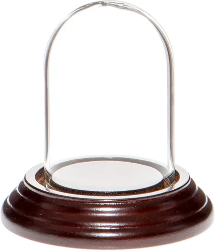 Vista 5 de Plymor Mini campana de cristal en forma de domo para exhibición, de 1.85 x 2.875 pulgadas