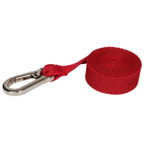 Vista 27 de Yodo, Bolsa para almuerzo aislada y mochila preescolar infantil, con correa de arnés de seguridad para niños o niñas, Dinosaur