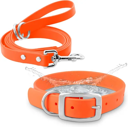 Vista 13 de Regal Dog Products Collar pequeño negro para perros con doble hebilla resistente y anillo en D Collar de perro ajustable de Biothane