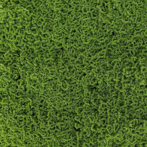 Vista 33 de 3rd Street Inn Paneles de pared de vegetación artificial para privacidad, paquete de 2