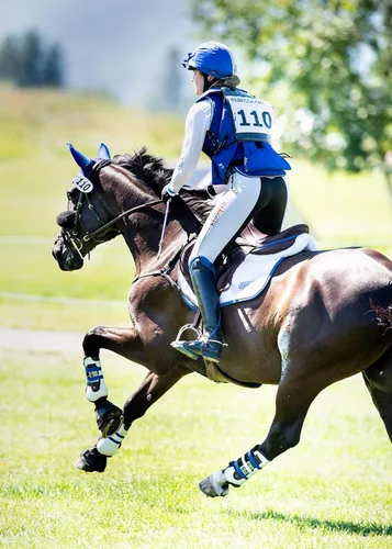 Vista 4 de Kerrits Pantalones ecuestres GripTek II para mujer Asiento adhesivo para montar a caballo, agarre máximo para eventos, doma