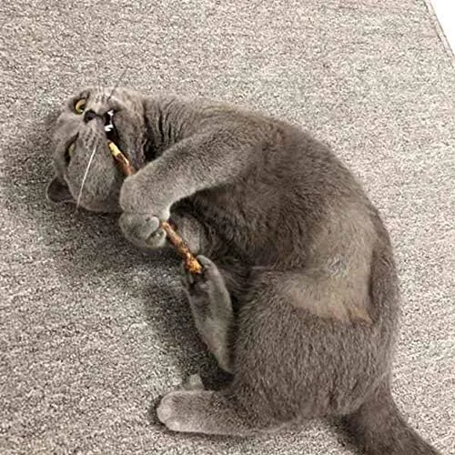 Vista 5 de 20 unidades de palitos de plata natural para Masticar Matatabi Varillas de dientes Molar Masticar Juguetes para la Limpieza de Dientes de Gato