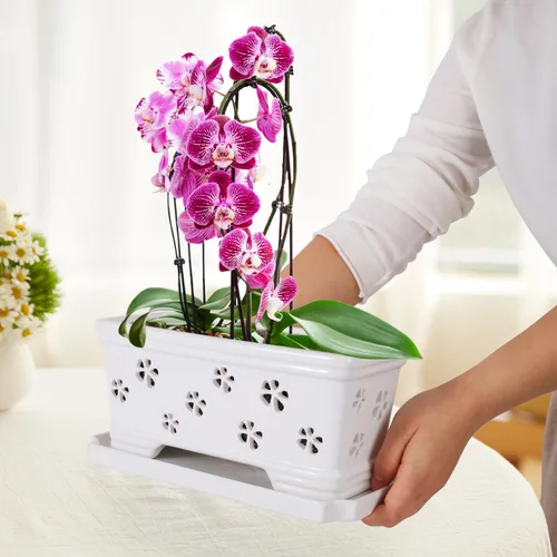 Vista 3 de Maceta rectangular de cerámica para orquídeas de 10 pulgadas con agujeros y platillo, color blanco, drenaje efectivo y ventilación para orquídeas