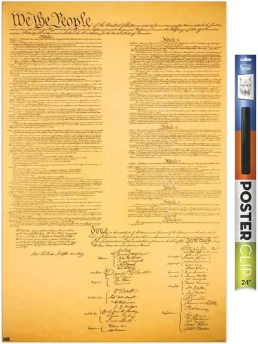Vista 17 de Trends International Póster de pared de The Constitution, 14.725 x 22.375 pulgadas, versión enmarcada de madera de granero Versión enmarcada Barnwood