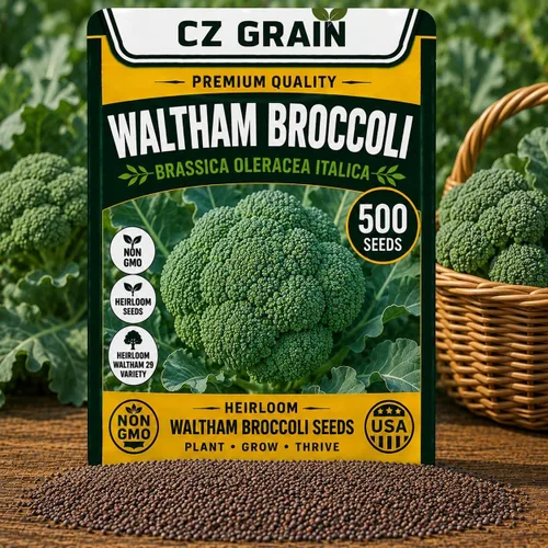Vista 7 de CZ Grain Semillas para plantar, 40 pequeñas mezclas de calabaza