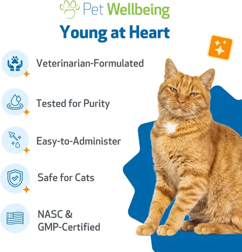 Vista 6 de Pet Wellbeing Young at Heart for Cats - Apoyo a la salud del corazón felino para personas mayores, bienestar cardiovascular con espino y agripalma