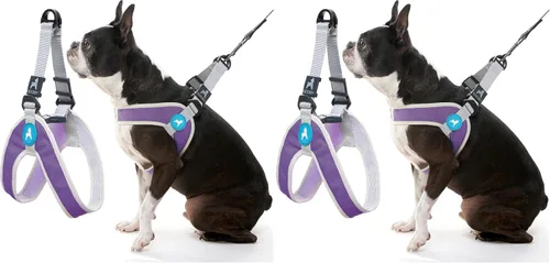 Vista 4 de Gooby Simple Step in III - Arnés para perro, verde, extra pequeño - Arnés para perros pequeños con chaqueta exterior resistente a los rasguños