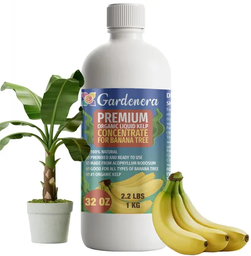 Vista 54 de GARDENERA Superalimento orgánico prémium de algas marinas y algas marinas para plantas AROID - 32 oz - Concentrado de fertilizante líquido de algas