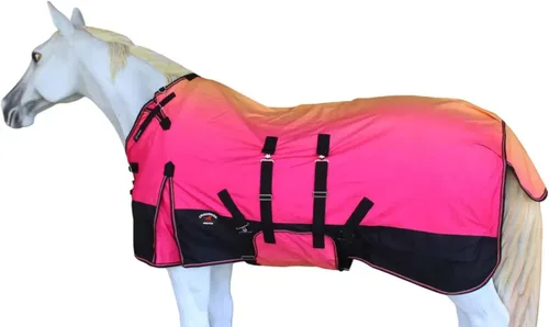 Vista 15 de CHALLENGER Manta de invierno impermeable de 80 pulgadas 1200D para caballo de lluvia ligera 394B Turquesa/Morado/Ombre