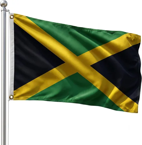 Vista 125 de DMSE - Bandera nacional beninesa beninesa de la República de África Occidental, 2 x 3 pies, 100 % poliéster, 100 % poliéster, resistente a los rayos