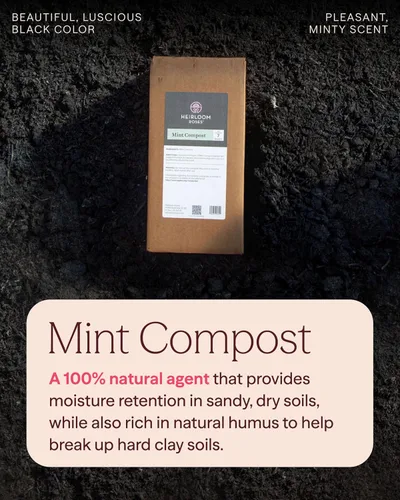Vista 2 de Heirloom Roses Compost de menta, 100% natural, enmienda superior del suelo para plantar rosas, rico en micronutrientes y nitrógeno para verduras