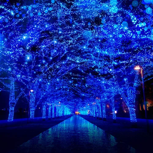 Vista 8 de Luces de Navidad azules enchufables de 66 pies, 200 luces LED conectables para árbol de Navidad, 8 modos de luces de cadena para interiores