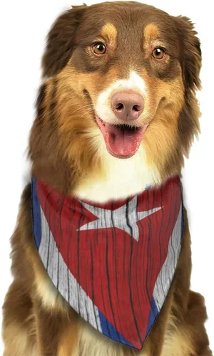 Vista 7 de Textura de madera bandera cubana perro bandana bufanda triángulo baberos accesorios mascotas gato pañuelo