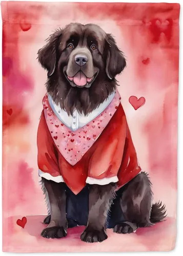 Vista 129 de Caroline's Treasures DAC5252GF Affenpinscher - Bandera de jardín con texto en inglés "My Valentine", bandera decorativa para patio exterior, patio