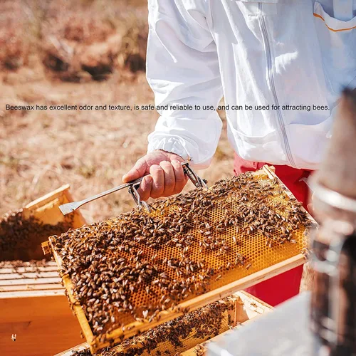 Vista 3 de ZYAMY 10 hojas de cera de abejas de 5.1 x 3.5 pulgadas, marco de cera de colmena natural, equipo de apicultura para artesanía, fabricación de velas
