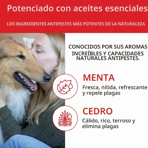 Vista 6 de SKOUT'S HONOR Champú natural para pulgas y garrapatas para perros, 16 onzas Champú para pulgas y garrapatas
