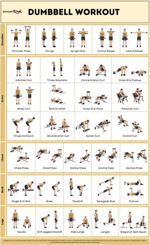 Vista 9 de SPORTAXIS Póster de entrenamiento básico con ilustraciones de colores, póster de pared laminado sin equipo para entrenamiento en casa, pósteres