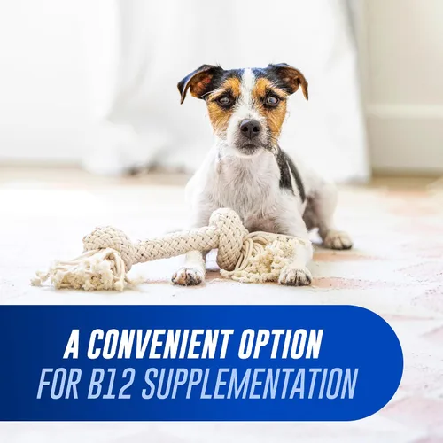 Vista 3 de Nutramax Cobalequin B12, suplemento para gatos y perros pequeños, 45 unidades (Paquete de 1)