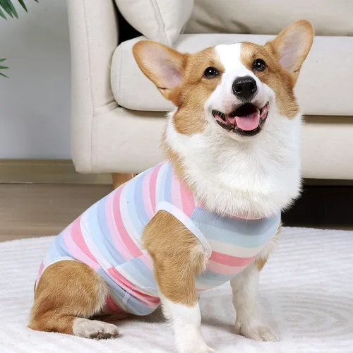 Vista 7 de Coppthinktu Traje de recuperación de cirugía para perros, gatos, perros, mameluco, traje de recuperación para perros hembras para pequeñas y Rosa