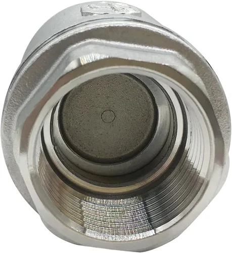 Vista 7 de Beduan Válvula de retención roscada inoxidable 1 NPT Válvula de retención sin retorno unidireccional horizontal vertical en línea con resorte