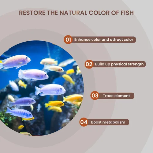 Vista 6 de UPETTOOLS Medios de filtro de acuario, bolas de anillo de cerámica biológica 5 en 1 para filtro de acuario, medios de filtro porosos