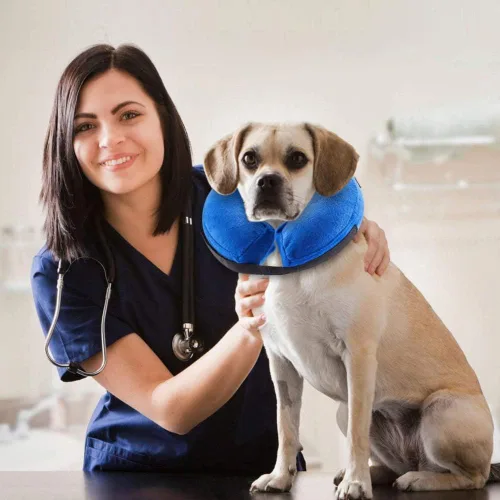 Vista 5 de VST - Cómodo collar inflable de cono para perros, collar de recuperación suave ajustable para mascotas que evita que las mascotas se toquen