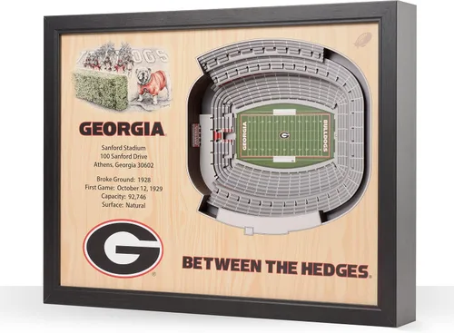 Vista 64 de YouTheFan NCAA Arte de Pared StadiumView de 25 Capas