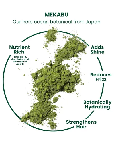 Vista 3 de MASAMI Mekabu - Acondicionador hidratante de 32 onzas, bolsa de recambio Sostenible Reciclable Calidad de salón Color seguro Algas marinas
