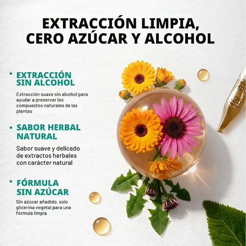 Vista 6 de Gotas de drenaje linfático - Suplementos linfáticos orgánicos del USDA - 2