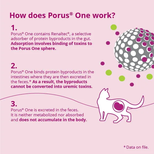 Vista 6 de Porus One, 500mg, 30ct
