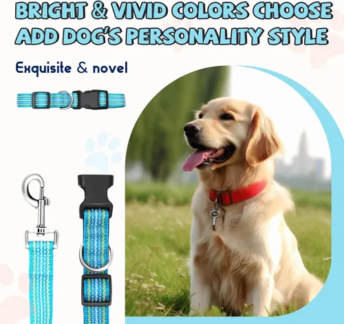 Vista 5 de Juego de collar y correa reflectante para perro, correa de nailon para perro con anillo en D de acero resistente, ajustable con hebilla de Cian