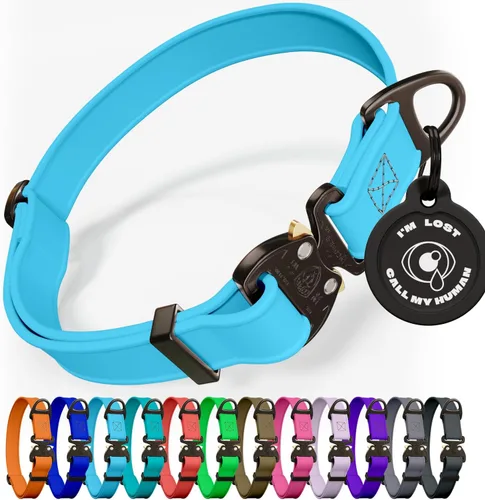 Vista 16 de Biothane - Collar de perro con hebilla de cobra, fabricado en Estados Unidos, etiqueta de identificación con código QR incluida, collares de perro