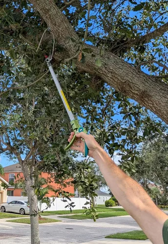 Vista 6 de GARTOL - Podadora de largo alcance con corte y retención, podadora de poste de 32 pulgadas ligera, mango largo, corta hasta 1/2 pulgada, uso con una