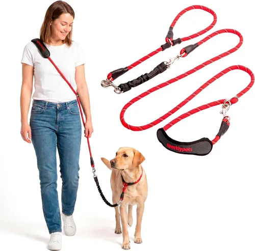 Vista 11 de Correa doble premium para dos perros, absorción de golpes, antitirón, doble correa para razas medianas y grandes con accesorio de correa doble