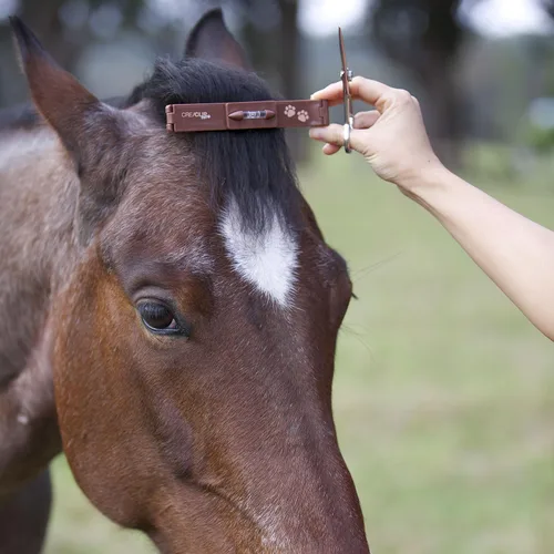 Vista 6 de CreaClip CreaPet - Kit silencioso de aseo para perros y gatos, caballo y mascotas, clip de aseo de mascotas de bajo ruido inalámbrico para mascotas