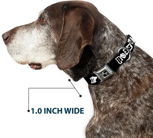 Vista 5 de Collar de perro hebilla de cinturón de seguridad punk you negro blanco 9 a 15 pulgadas 1.0 pulgadas ancho