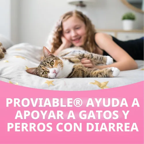 Vista 11 de Nutramax Probióticos proviables para perros y gatos pequeños, kit de apoyo para la diarrea, suplemento de salud digestiva con múltiples cepas