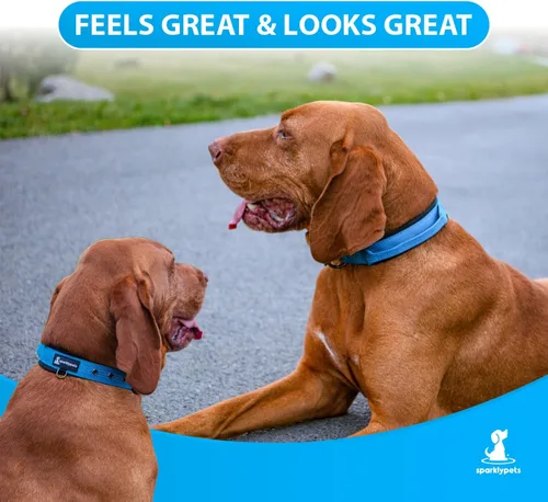 Vista 3 de SparklyPets Collar de perro resistente con asa para perros medianos y grandes, collar profesional con costuras reflectantes, mango suave y hebilla