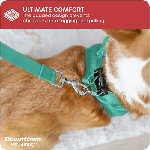 Vista 248 de Downtown Pet Supply Arnés para perro Step-in – Sin tirones, malla acolchada ajustable con ribete reflectante, correa de hebilla segura – Arnés