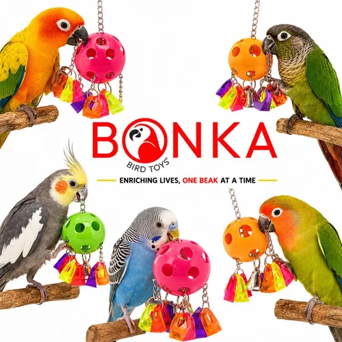 Vista 8 de Bonka Bird Toys 1938 Paci Pull Colorido Chupete Anillo Acrílico Loro Parrotlet Budgie Quaker Africano