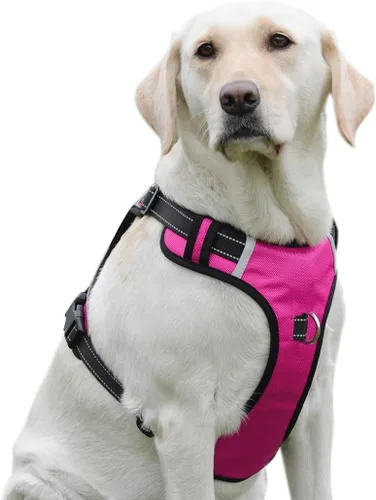 Vista 12 de Arnés para perro sin tirones con 2 anillos en D, ajustable, reflectante, suave, acolchado, chaleco Oxford y asa para perros pequeños, negro, S