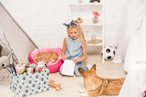 Vista 4 de Cesta Rectangular para Perros, Contenedor de Juguetes para Perros, Organizador de Cesta de Almacenamiento para Perros. Contenedor de Almacenamiento
