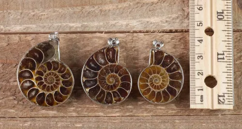 Vista 8 de gemhub Collar con colgante de plata de ley 925 de caracol fósil de amonita de piedra natural para mujeres y hombres, regalo del día de San Valentín