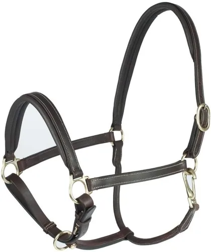 Vista 2 de HORZE Largo Cabestro Caballo de Cuero Genuino Noseband acolchado ajustable y corona Negro