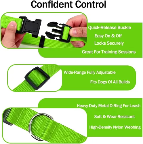 Vista 3 de Collar básico para perro, nailon ajustable para perros grandes, verde