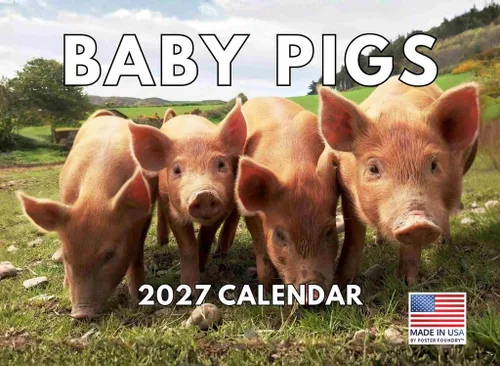 Vista 16 de Calendario mensual de pared de alpaca 2025 Fabricado en Estados Unidos