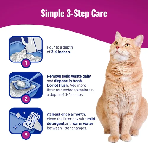 Vista 7 de Cat's Pride Arena aglutinante ligera de primera calidad: pura y fresca, hasta 10 días de potente control de olores, para varios gatos, perfumada, 10
