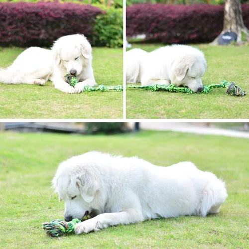 Vista 5 de SHARLOVY - Juguetes para perros grandes y masticadores agresivos Indestructible XL Durable Dog Toy,5-Knot Rope Tug,Heavy Duty Chew Sturdy Cotton